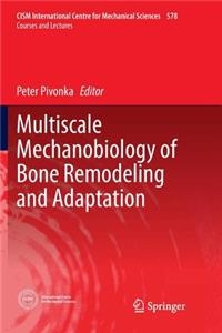 Multiscale Mechanobiology of Bone Remodeling and Adaptation