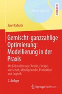 Gemischt-Ganzzahlige Optimierung: Modellierung in Der PRAXIS