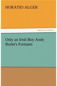 Only an Irish Boy Andy Burke's Fortunes