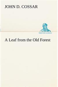 Leaf from the Old Forest