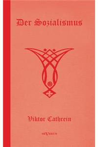 Der Sozialismus. Eine Untersuchung seiner Grundlagen und seiner Durchführbarkeit