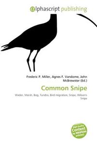 Common Snipe