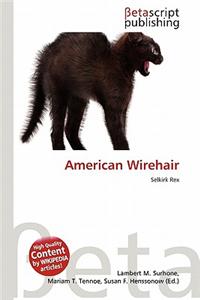 American Wirehair