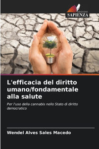 L'efficacia del diritto umano/fondamentale alla salute