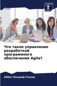 Что такое управление разработкой програм
