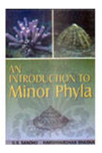 An Introduction to Minor Phyla