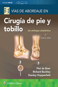 Vias de abordaje de cirugia de pie y tobillo. Un enfoque anatomico