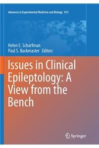 Issues in Clinical Epileptology: A View from the Bench