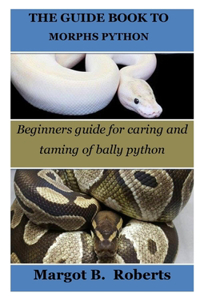 Guide Book to Morphs Python