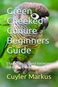 Green Cheeked Conure Beginners Guide