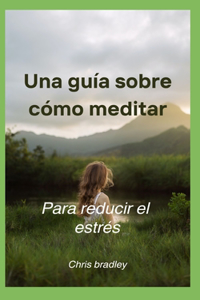 guía sobre cómo meditar