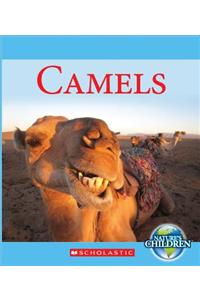 Camels