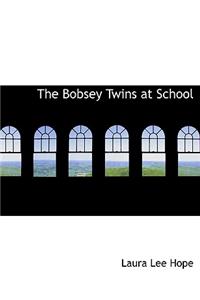 The Bobsey Twins at School