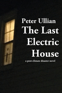 Last Electric House: a post-climate disaster novel