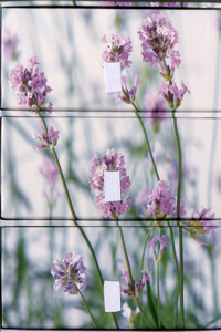 Glorious Flowers Card Tower: Lavender