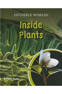 Inside Plants