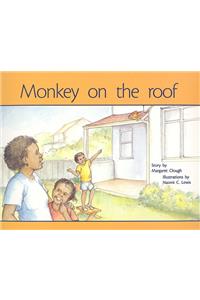 Monkey on the Roof