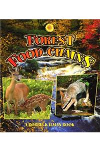Forest Food Chains