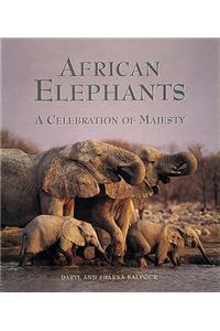 African Elephants