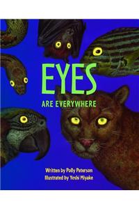 Ready Readers, Stage 2, Book 46, Eyes Are Everywhere, Big Book