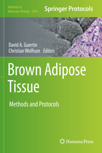 Brown Adipose Tissue