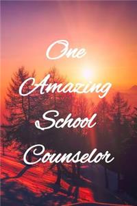 One Amazing School Counselor