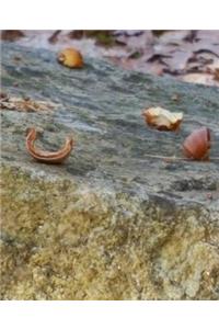 Broken Acorns Rock School Composition Book