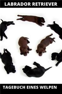 Labrador Retriever Tagebuch eines Welpen