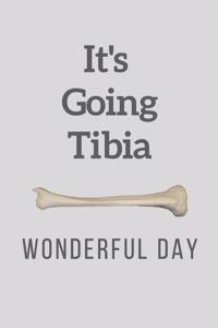 It's Going Tibia Wonderful Day