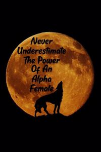 Never Underestimate the Power of an Alpha Female