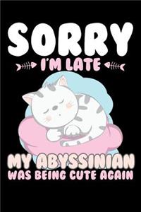 Sorry I'm Late My Abyssinian Being Cute Again