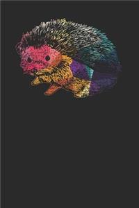 Hedgehog Colors