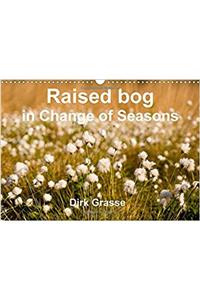 Raised Bog in Change of Seasons / UK-Version 2017
