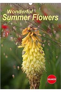 Wonderful Summer Flowers 2018