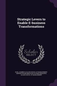Strategic Levers to Enable E-business Transformations