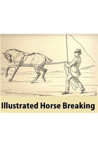 Illustrated Horse Breaking