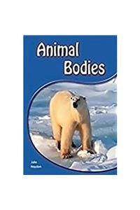 Animal Bodies Animal Bodies