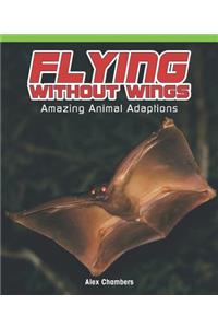 Flying Without Wings: Amazing Animal Adaptations