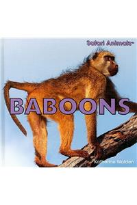 Baboons