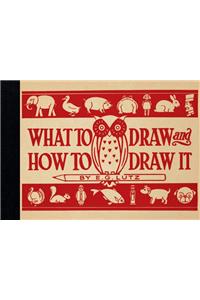 What to Draw and How to Draw It