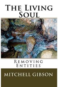 The Living Soul: Removing Entities