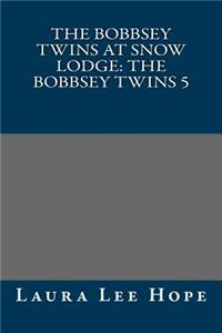 The Bobbsey Twins at Snow Lodge