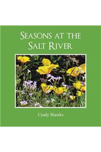 Seasons at the Salt River