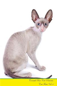Cornish Rex Cat Presents