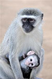 Grivet Monkey and her Baby Journal