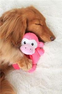 Sleeping Dog Journal