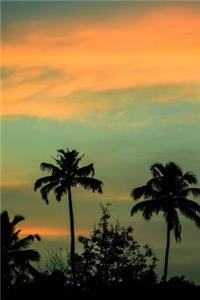 Palm Trees and a Lovely Sunset Journal