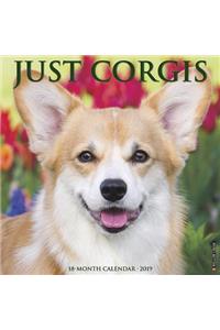 Just Corgis 2019 Wall Calendar (Dog Breed Calendar)