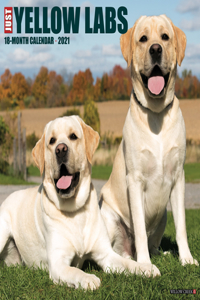Just Yellow Labs 2021 Wall Calendar (Dog Breed Calendar)