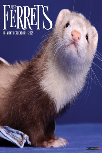 Ferrets 2026 12 X 12 Wall Calendar